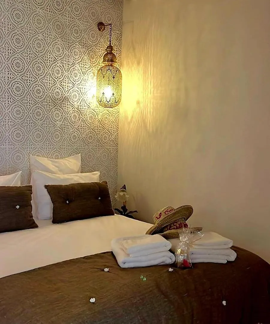 Hotel Le Singe Rose Marakéš 0*,